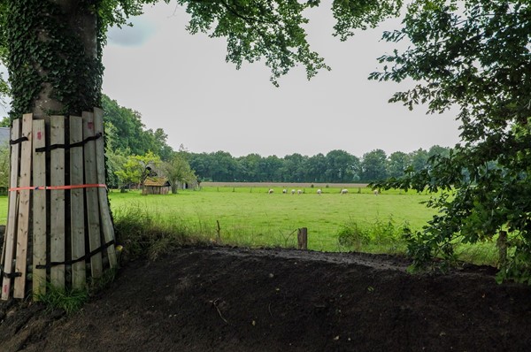 Medium property photo - Dorpsstraat 7, 9482 PA Tynaarlo